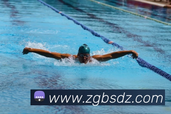 星空体育平台生态图